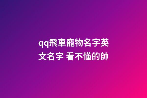 qq飛車寵物名字英文名字 看不懂的帥